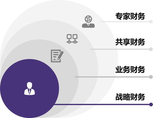 图解 关于中央企业加快建设世界一流财务管理体系的指导意见